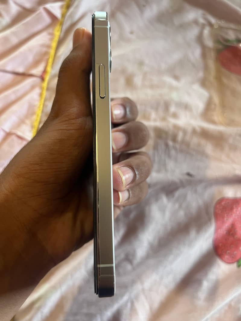 iPhone 12 Pro 2
