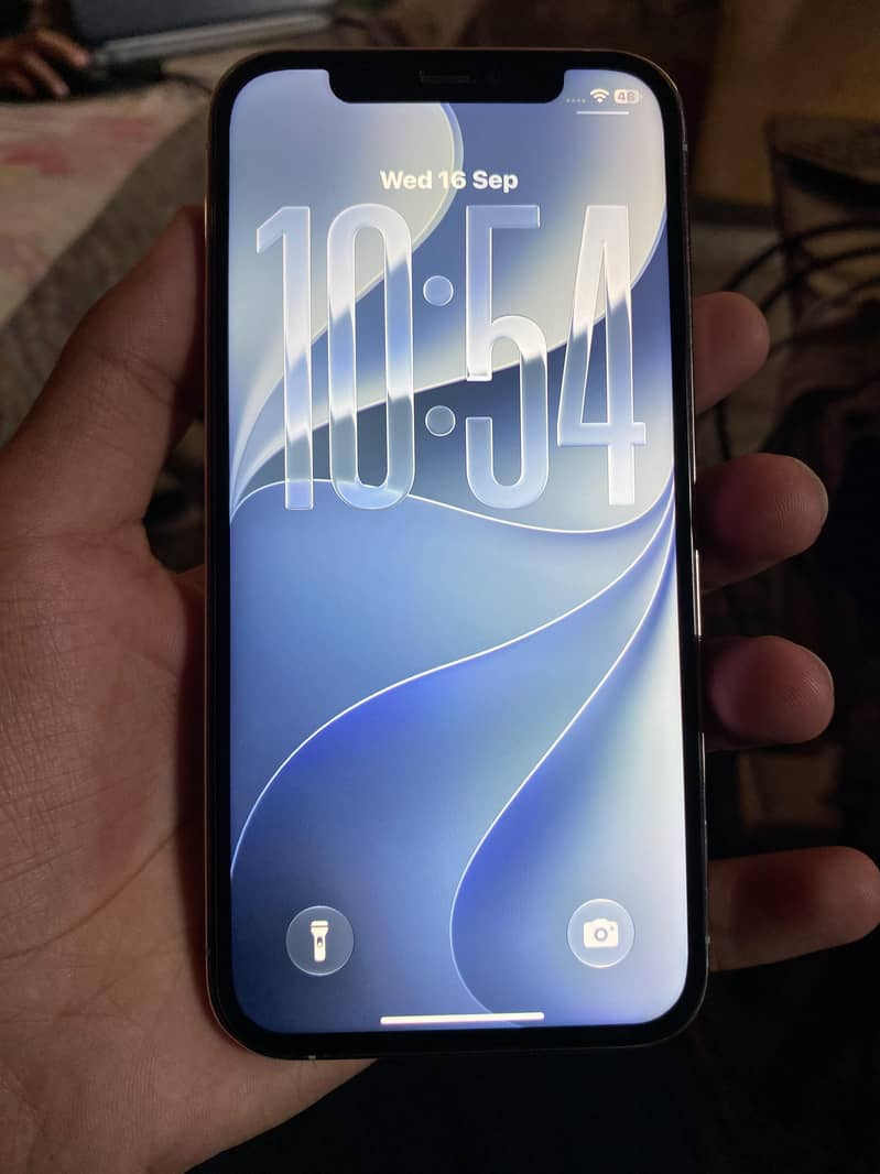 iPhone 12 Pro 5