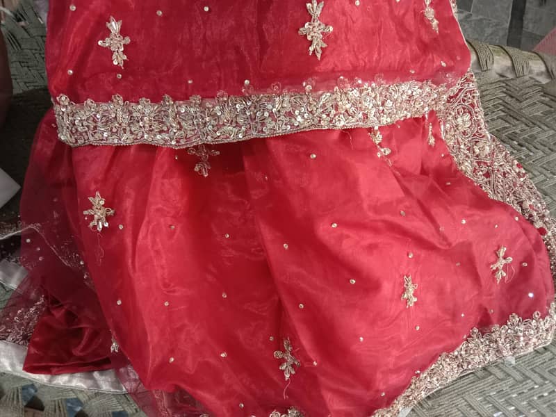 lehnga 6