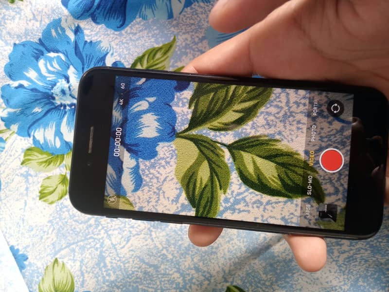 Apple iPhone SE 3rd gen 3