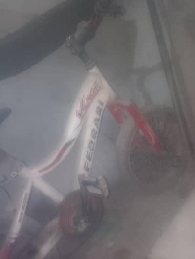Ferrari bicycle