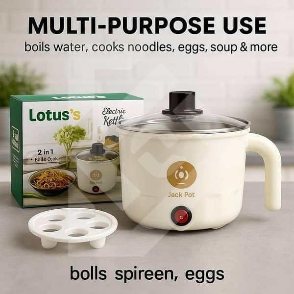 T  electric kettle egg boiler multifunctional noodles maker 1.2 litter food warmer stainless steel body milk boiler