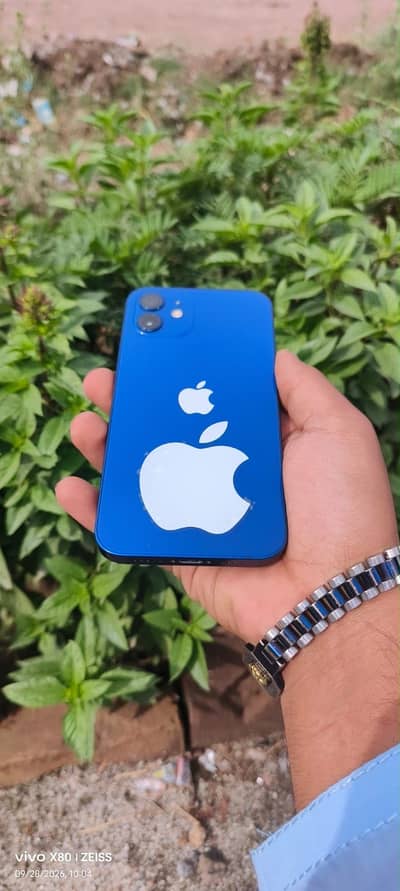 Apple iPhone 12