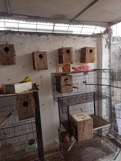 boxes/cages/steel boxes