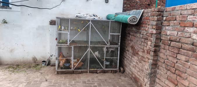 iron cage