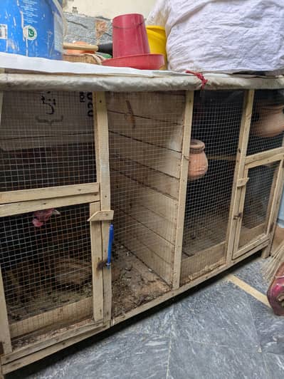 Achee condition ka cage 1.5 month use hua ha
