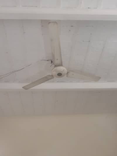room fan chhatra wala pankha