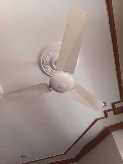 3 Blade Ceiling Fan – Excellent Working Condition