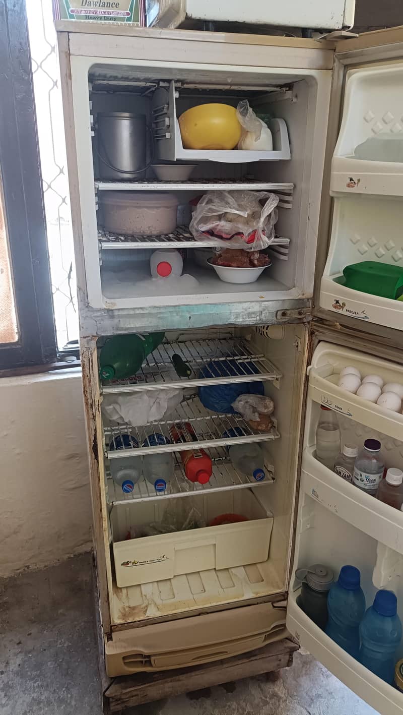 Pel fridge 3