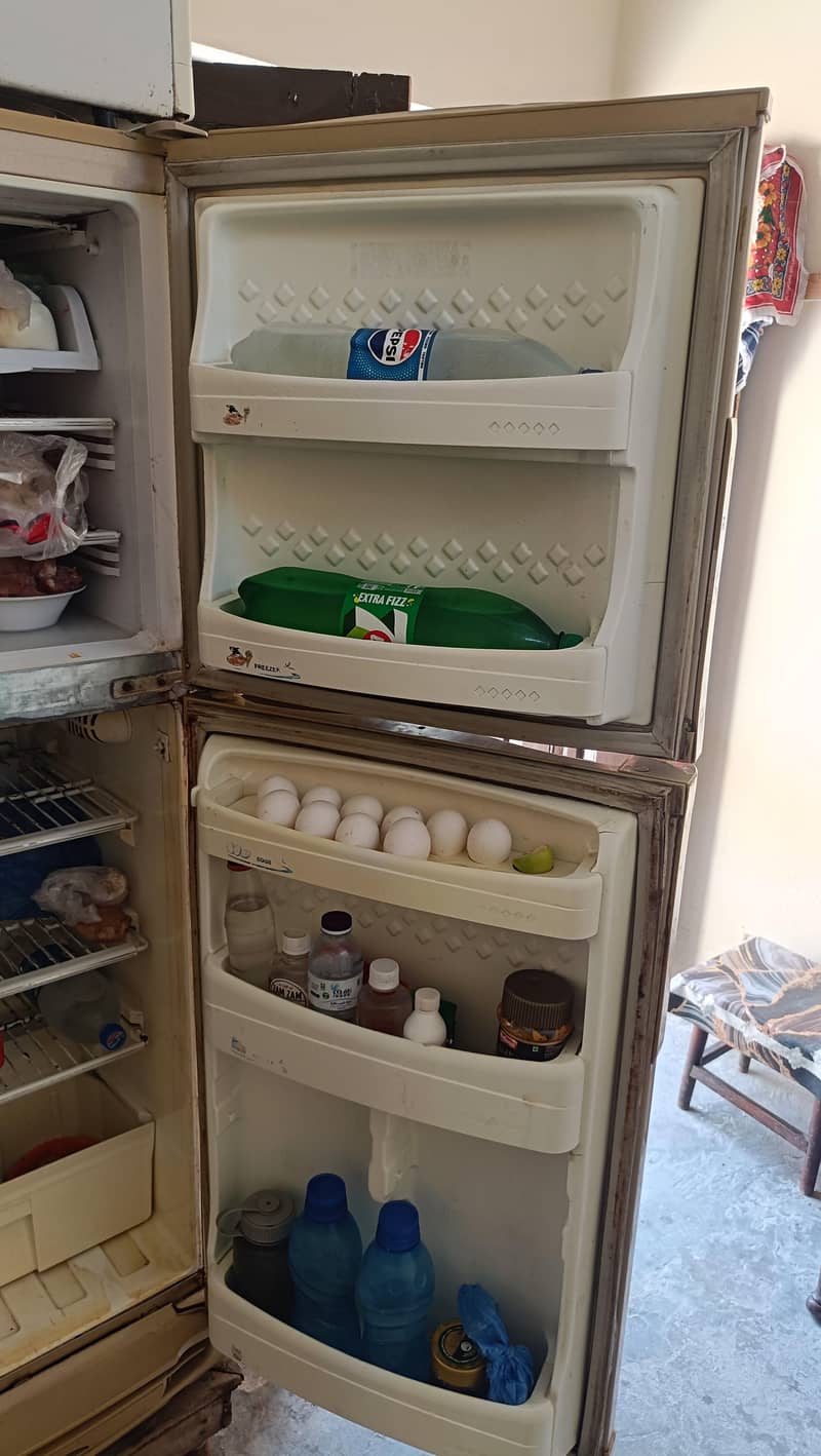 Pel fridge 4