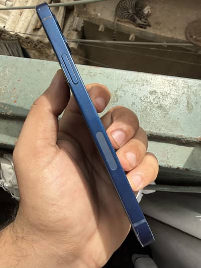 I PHONE 12 NON PTA JV 64 GB