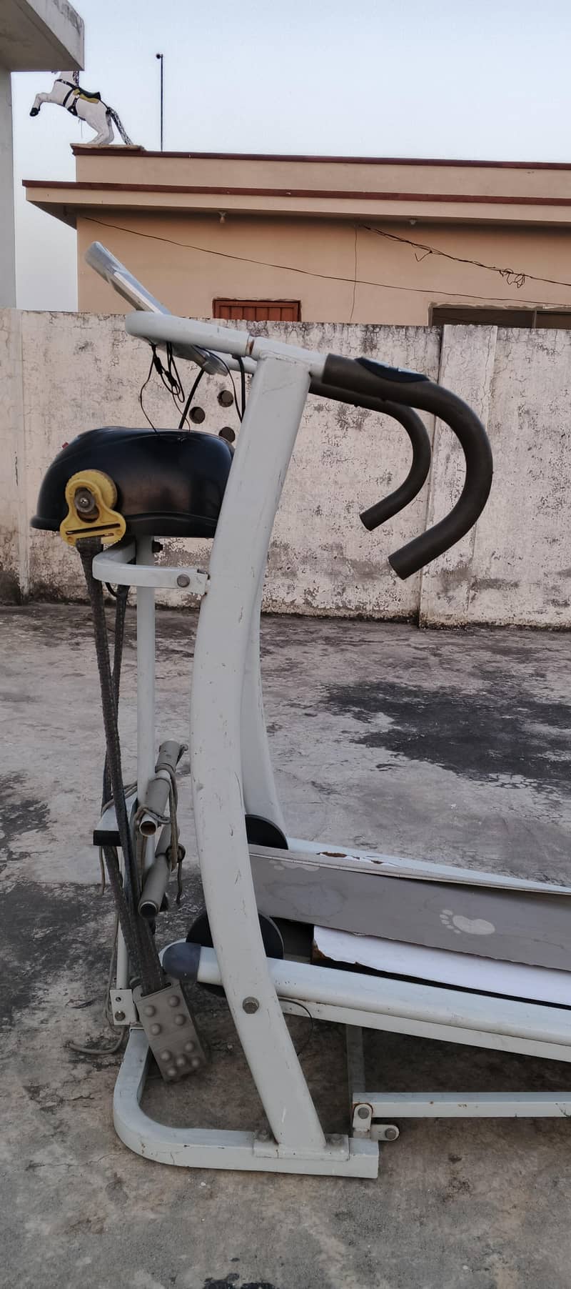 treadmill or shaker multi 5