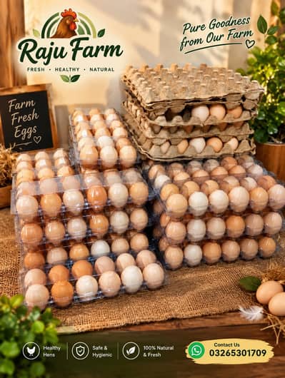 Desi Eggs