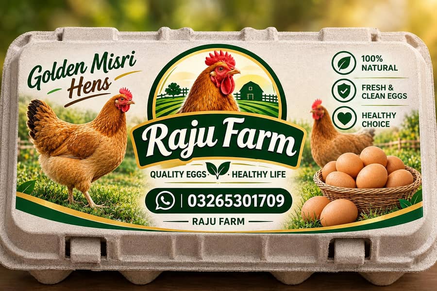 Desi Eggs 1