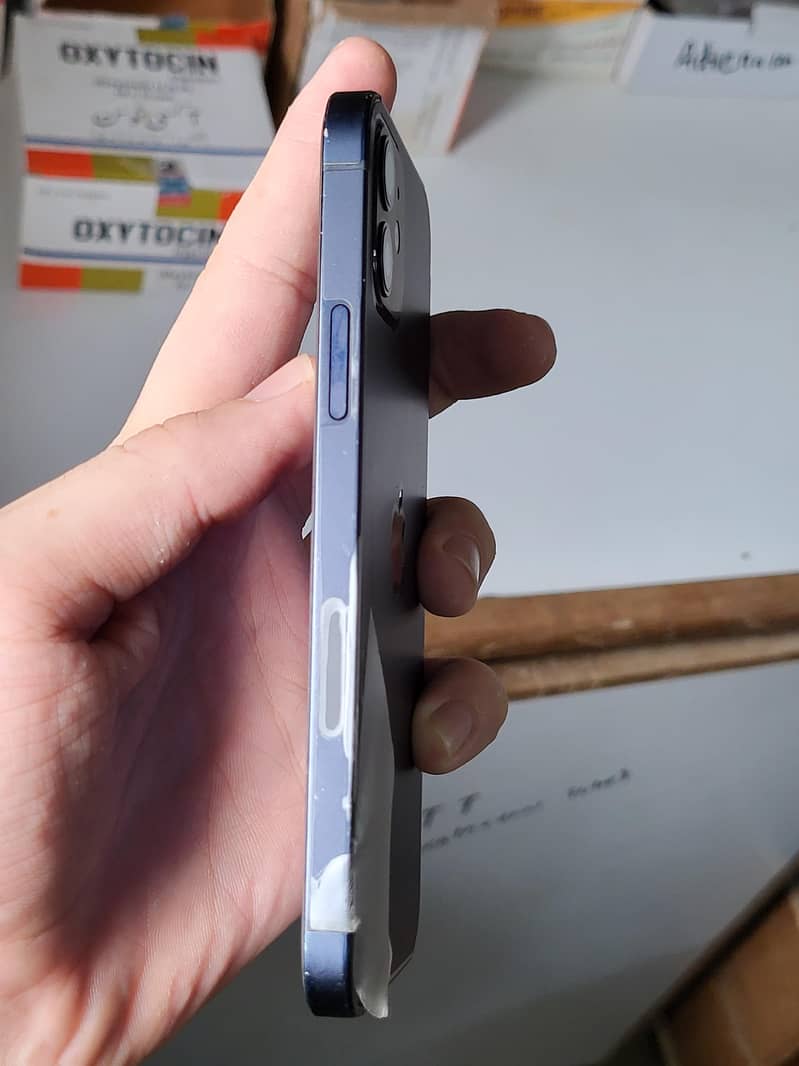 Apple iPhone 12 1