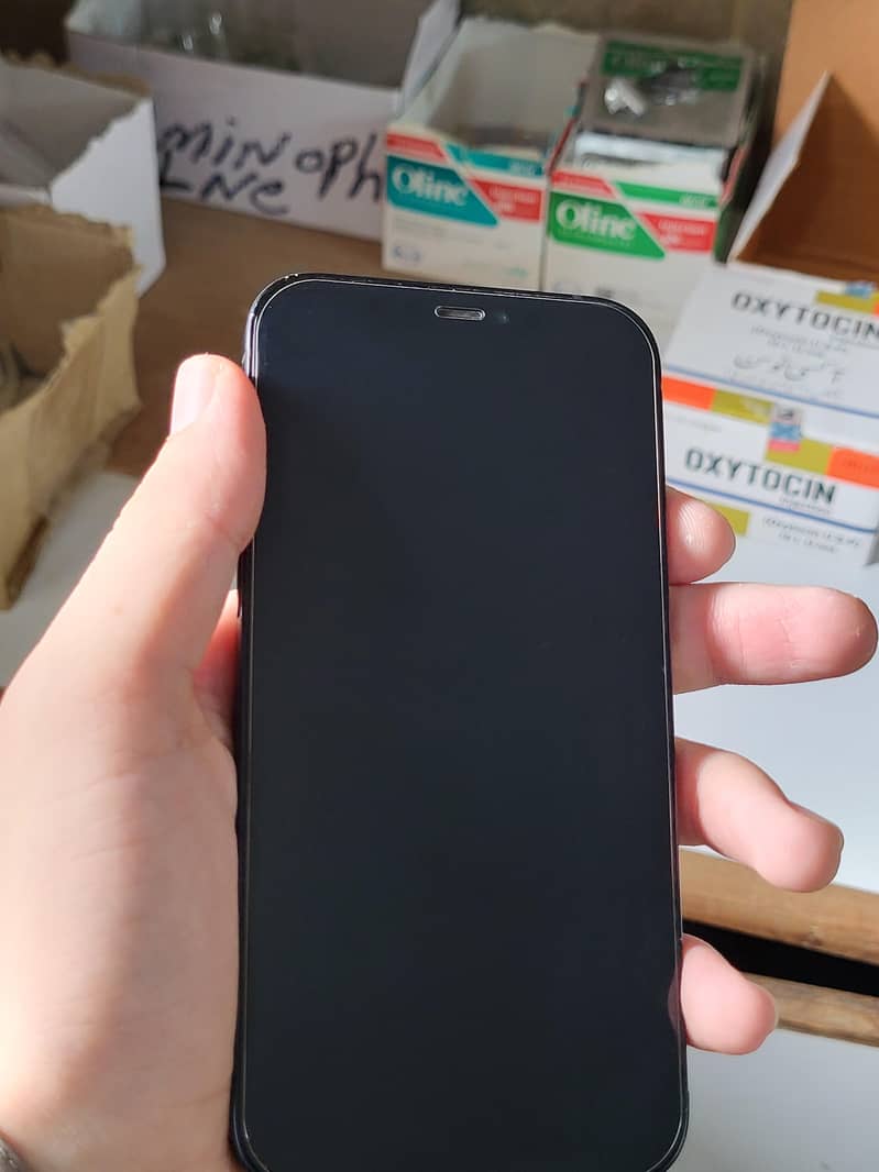 Apple iPhone 12 6