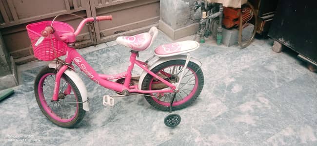 kids bicycle