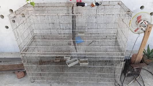 Folding cage for parrot finch and all birds