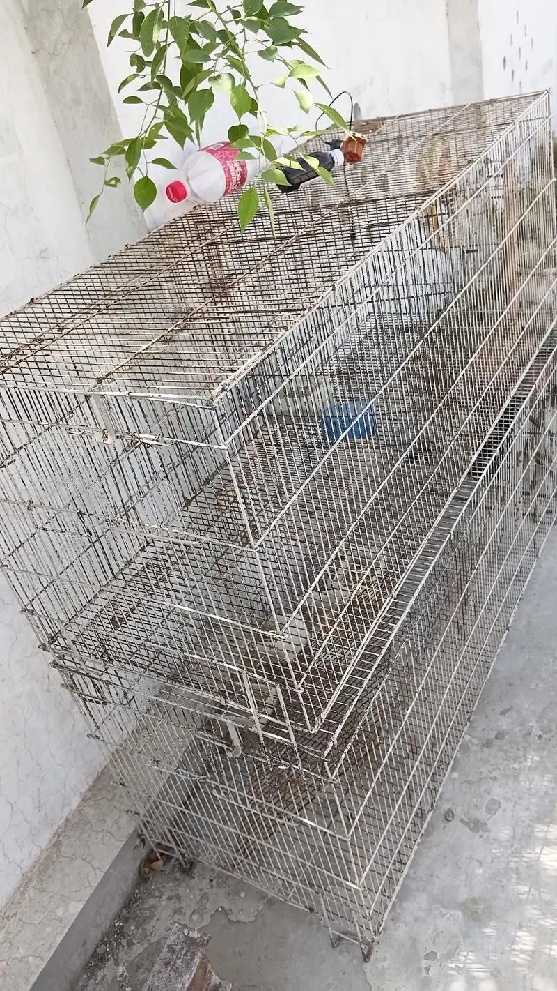 Folding cage for parrot finch and all birds — photo 2
