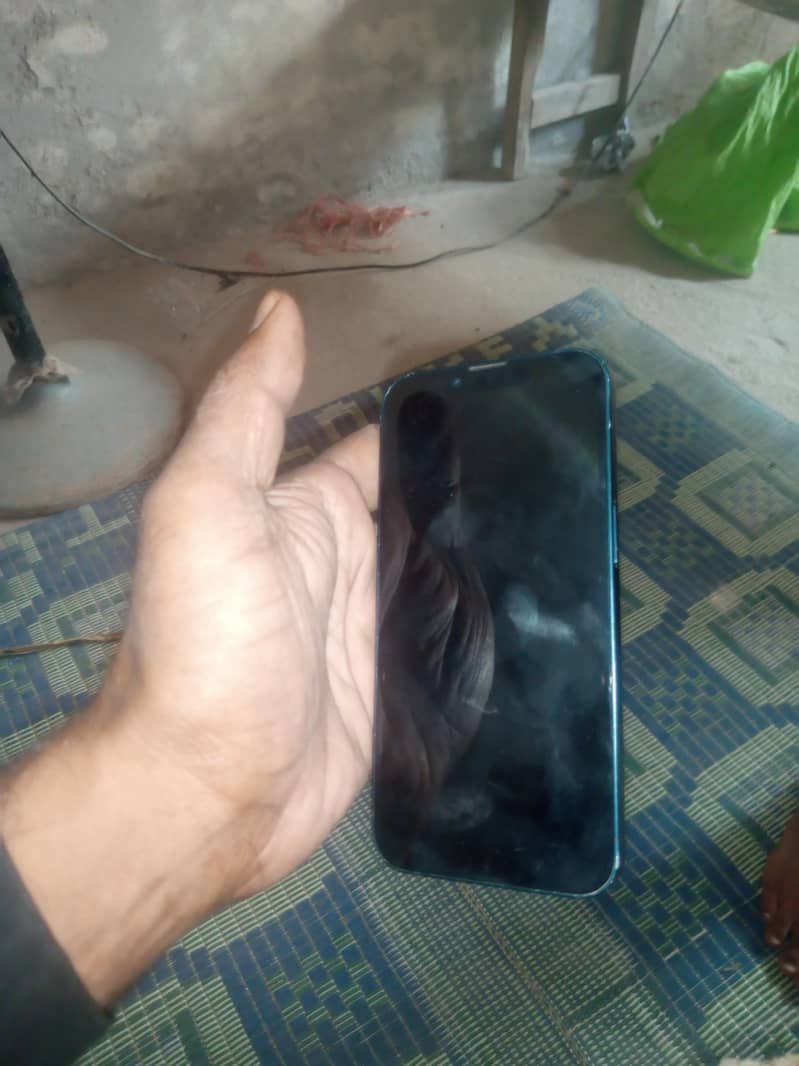 Apple iPhone 13 0