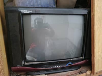 TV  use