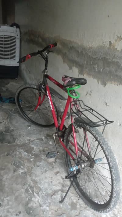 phoenix cycle