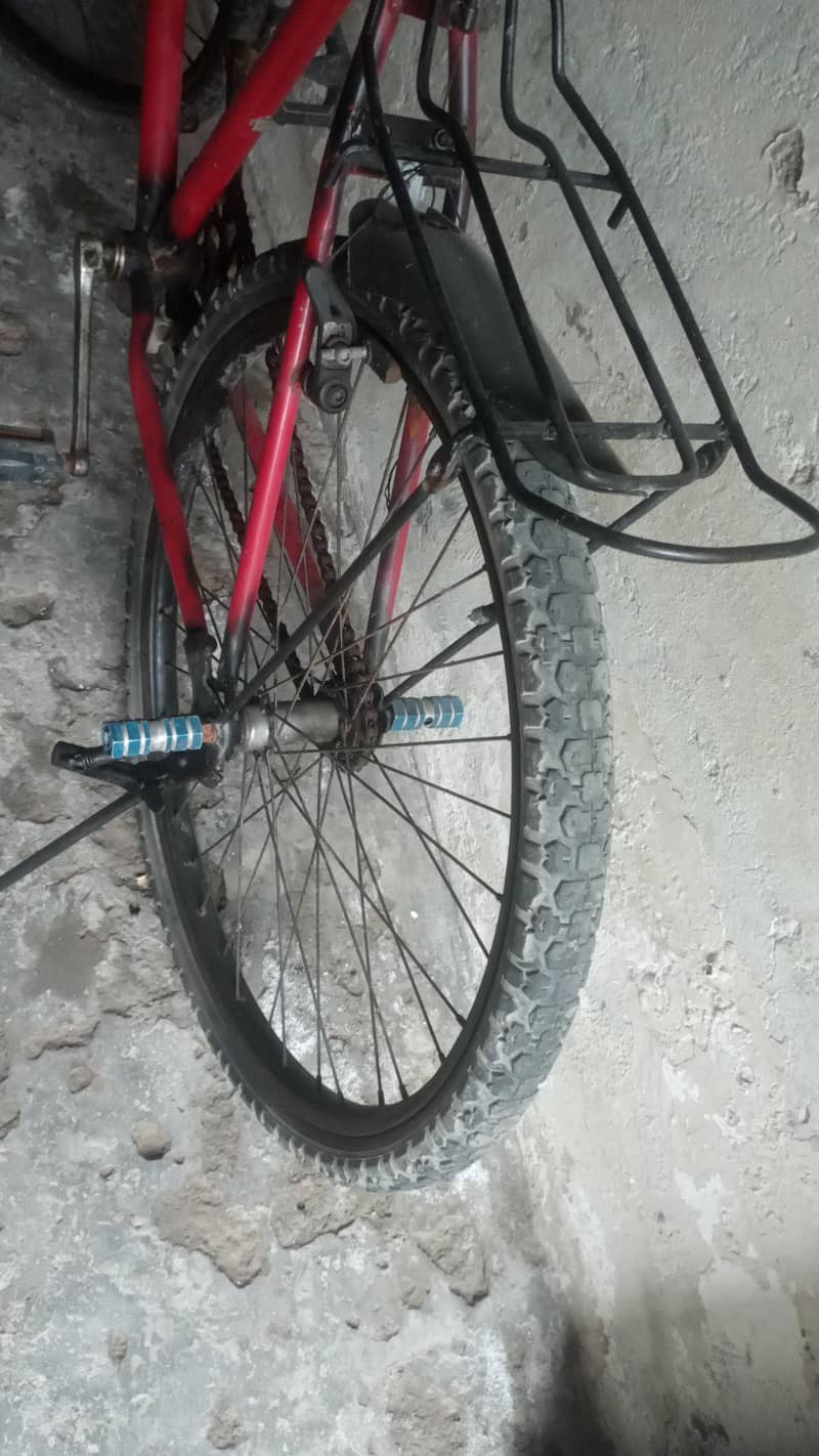phoenix cycle 2