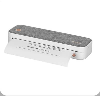 Peripage A40 Thermal A4 Printer (Rs. 28K) /Olaf Mini Printer (Rs. 4K)