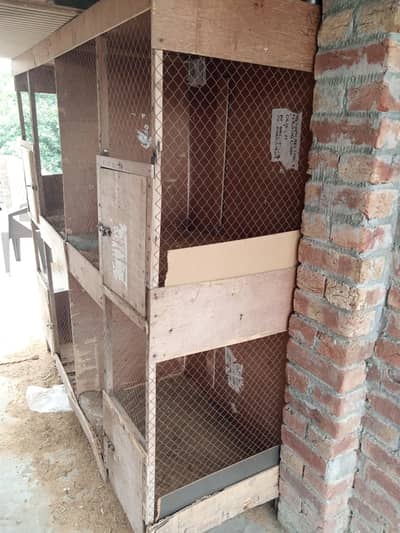 cage for seel
