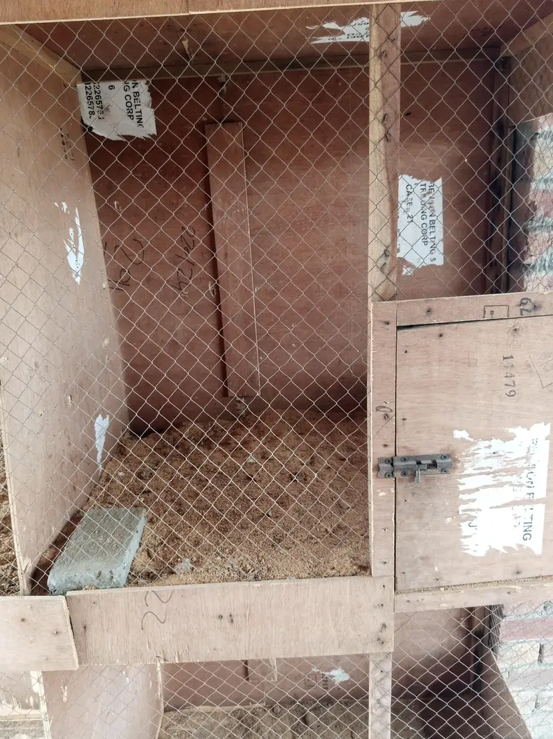cage for seel — photo 2