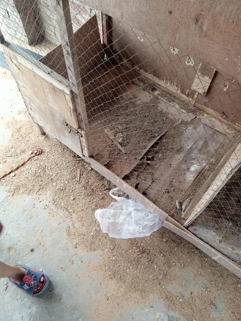 cage for seel — photo 4