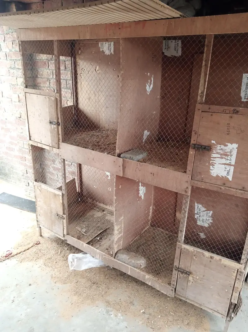cage for seel — photo 5
