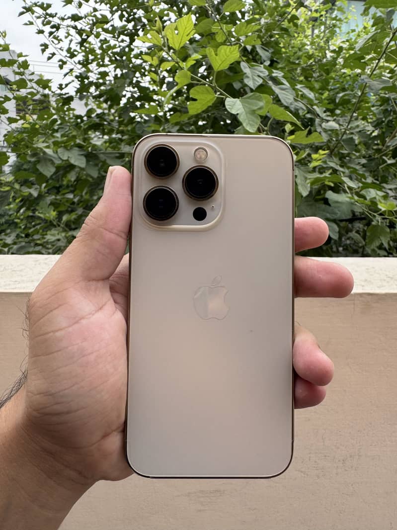 Apple iPhone 13 Pro 0