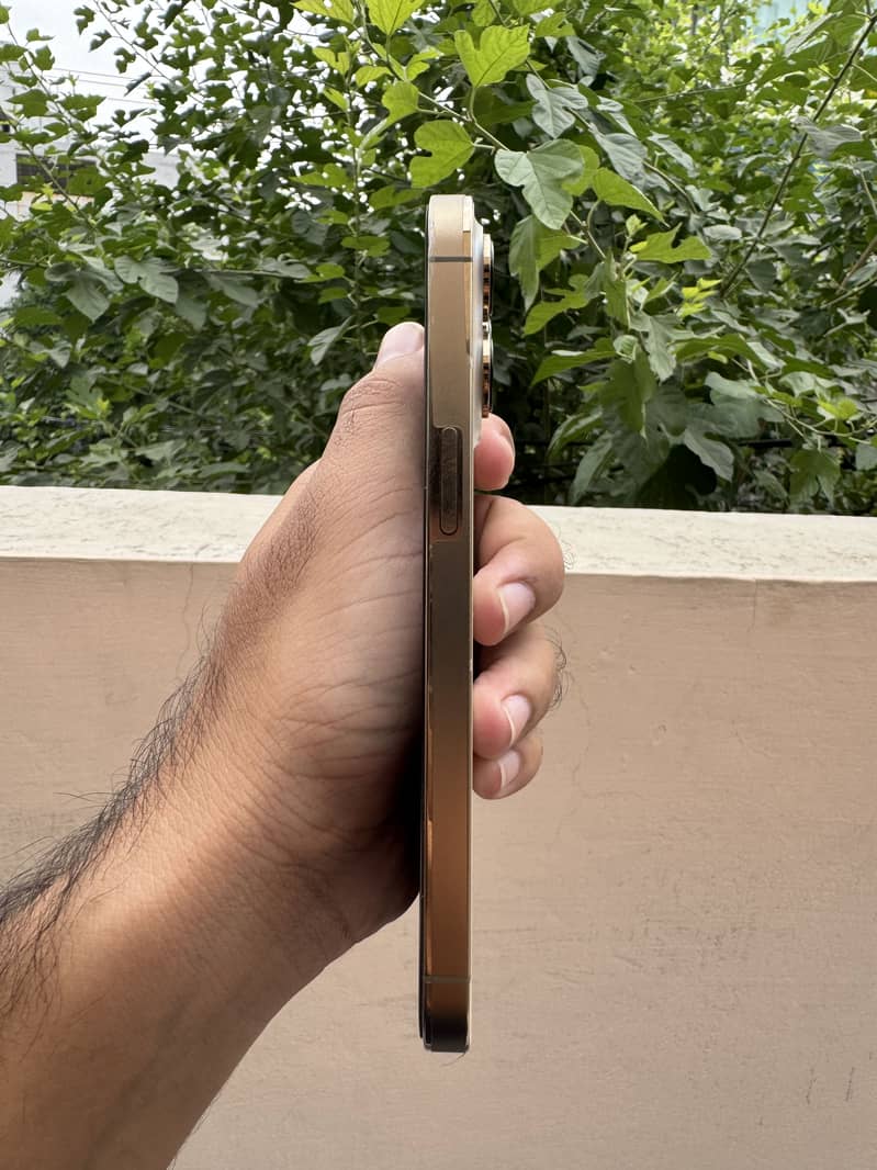 Apple iPhone 13 Pro 1