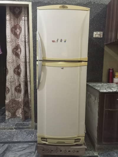 PEL fridge