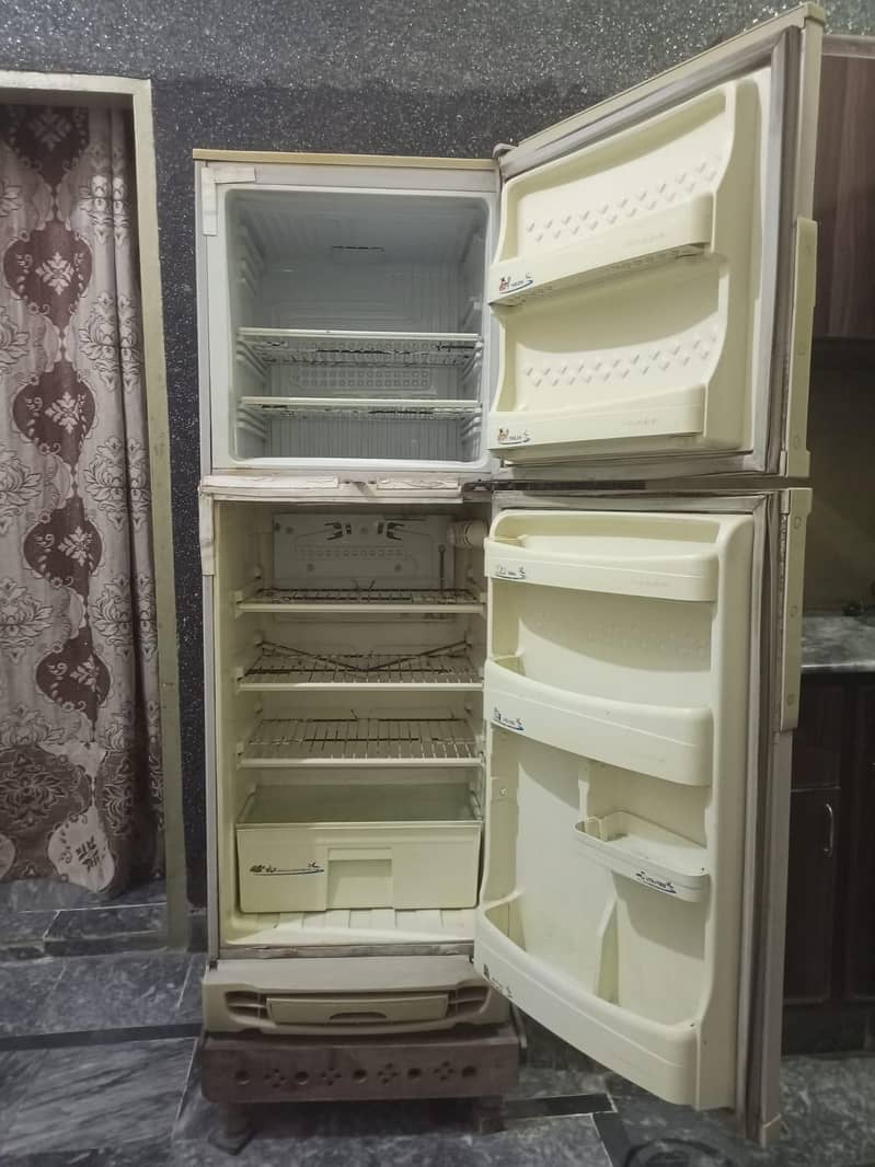 PEL fridge 1