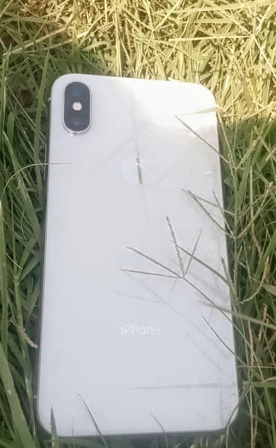 Apple iPhone X