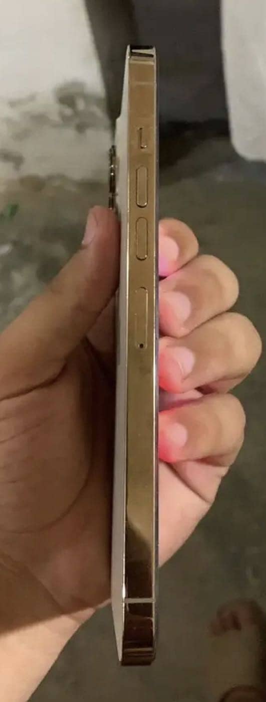 Apple iPhone 13 Pro Max 2