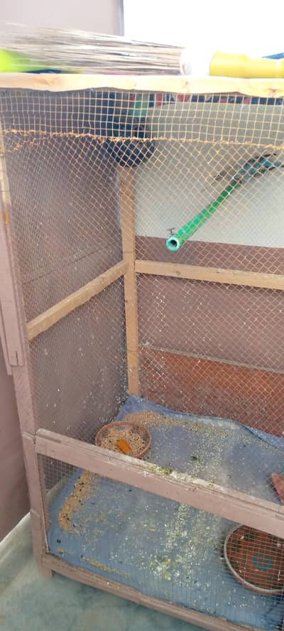 Birds cage for sale