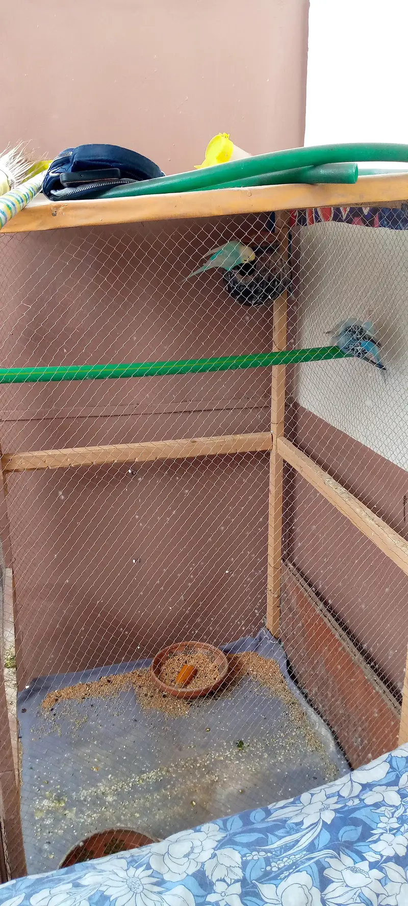 Birds cage for sale — photo 3