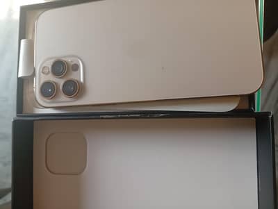 Apple iPhone 12 Pro Max