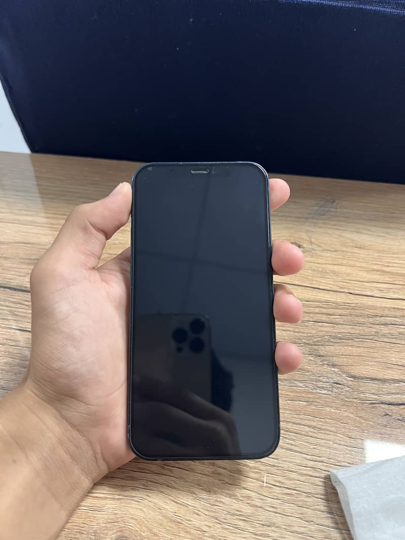 Apple iPhone 12 1