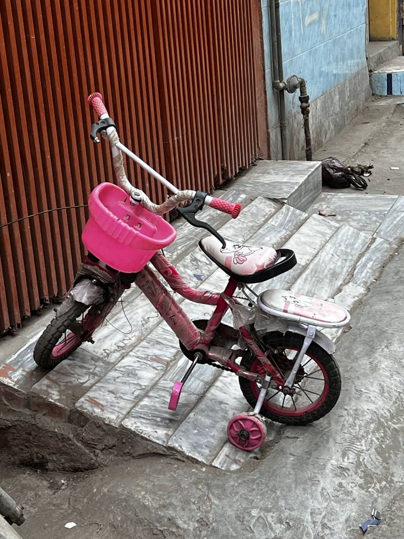 Cycle 0