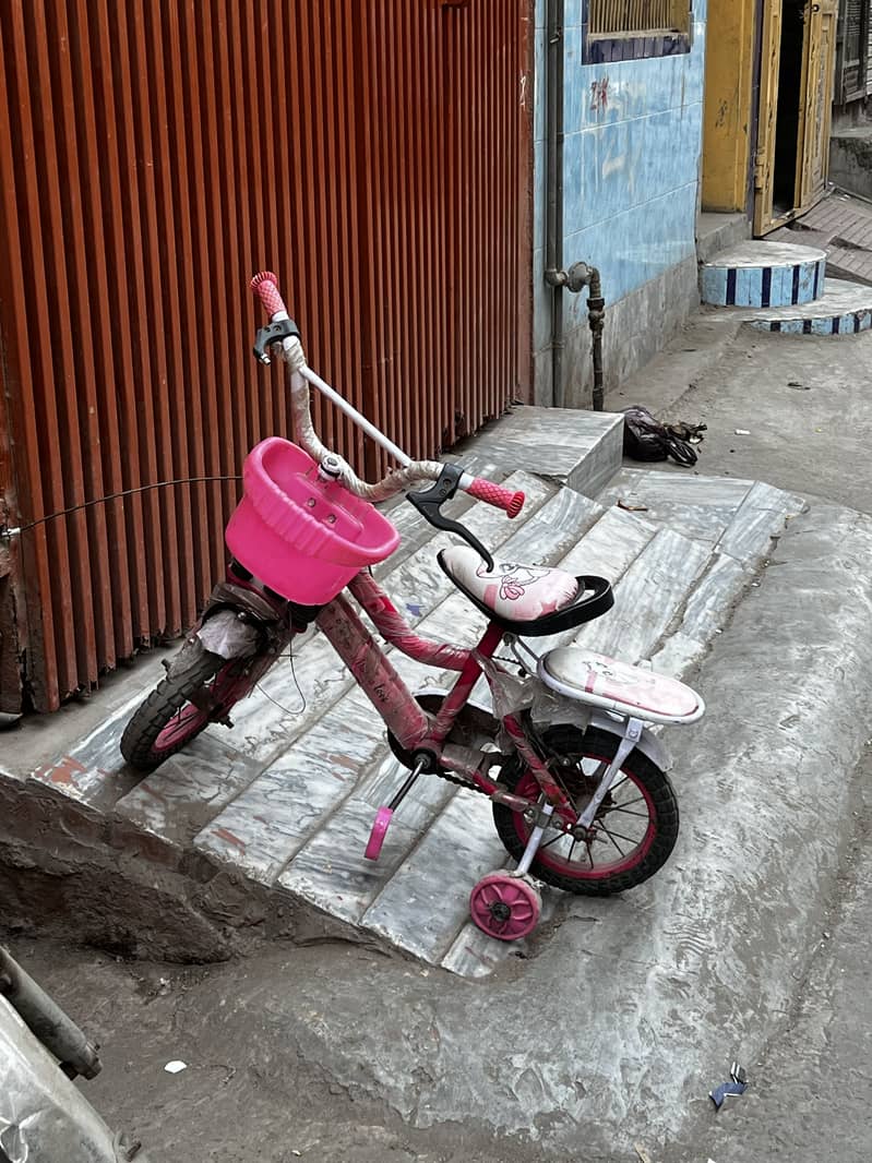 Cycle 2