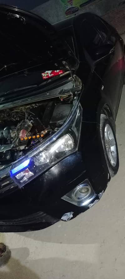 carolla xli