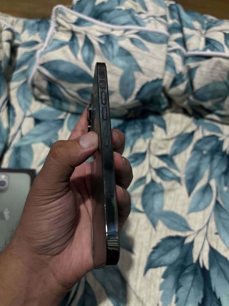 Apple iPhone 13 Pro Max 1