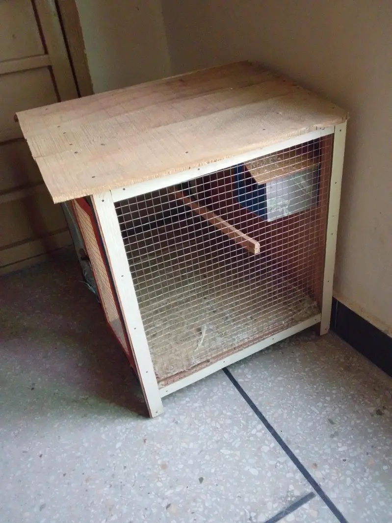 Wooden. hen. cage  4. portion hut shape. for. sale. narowal — photo 2