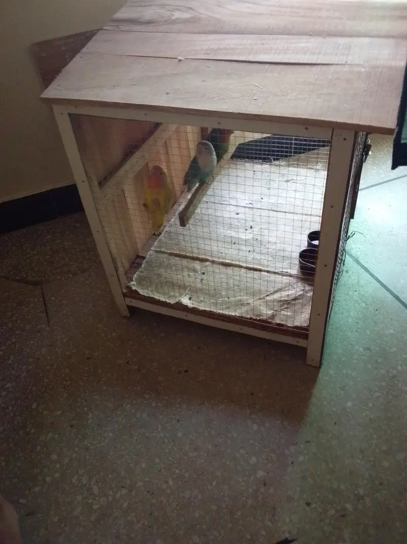 Wooden. hen. cage  4. portion hut shape. for. sale. narowal — photo 3