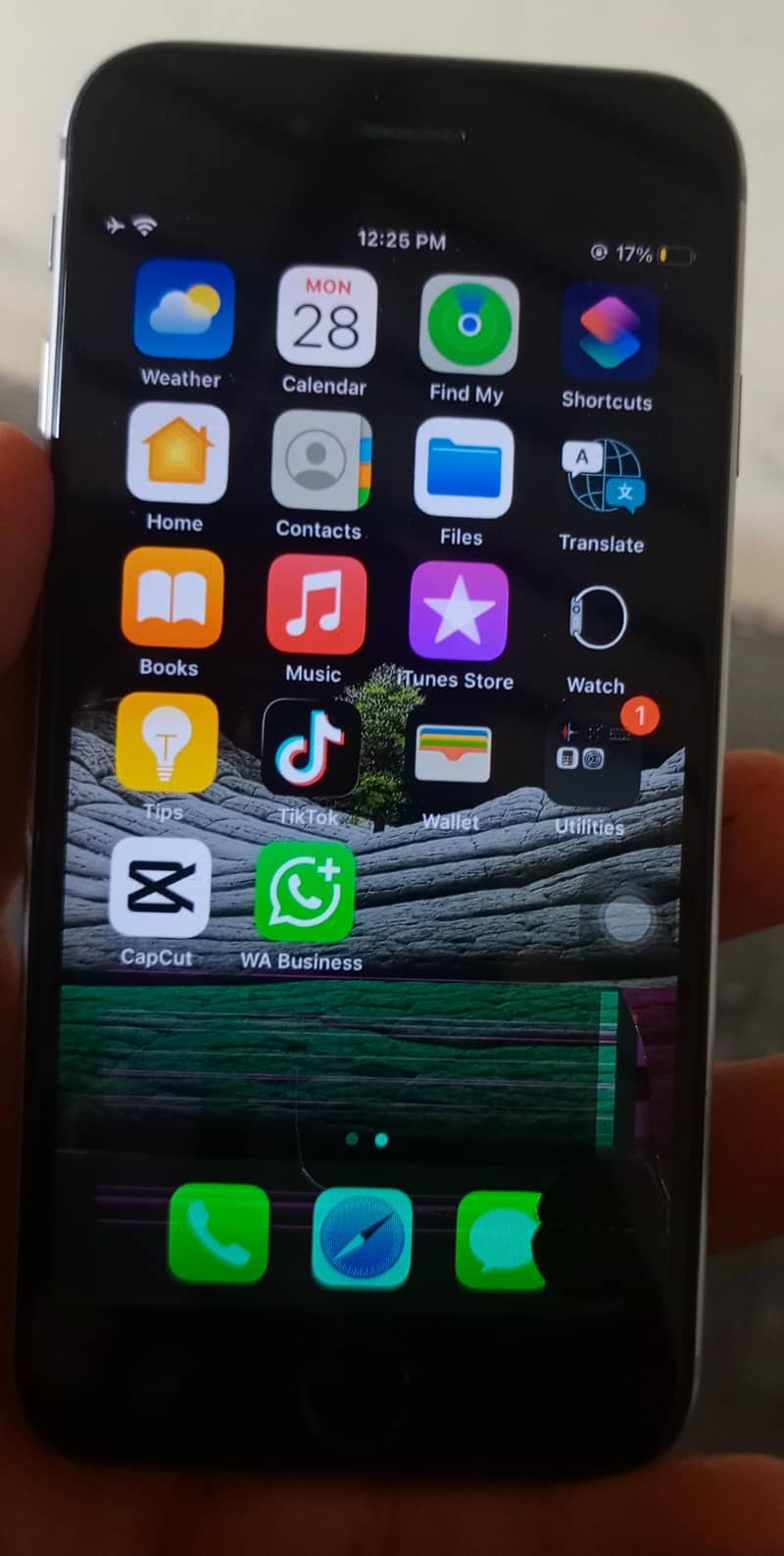 Apple iPhone 6S 1