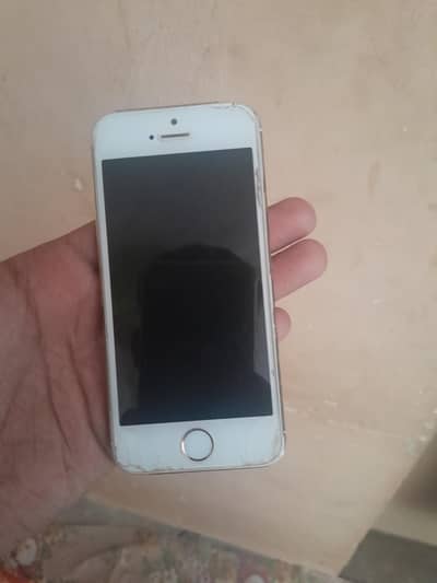 Apple iPhone 5s